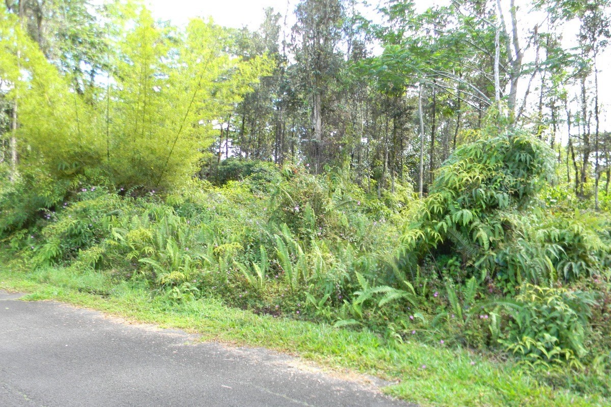 1041 Church Road Pahoa, HI 96778 - Photo 3 of 3 Gallery Image 3