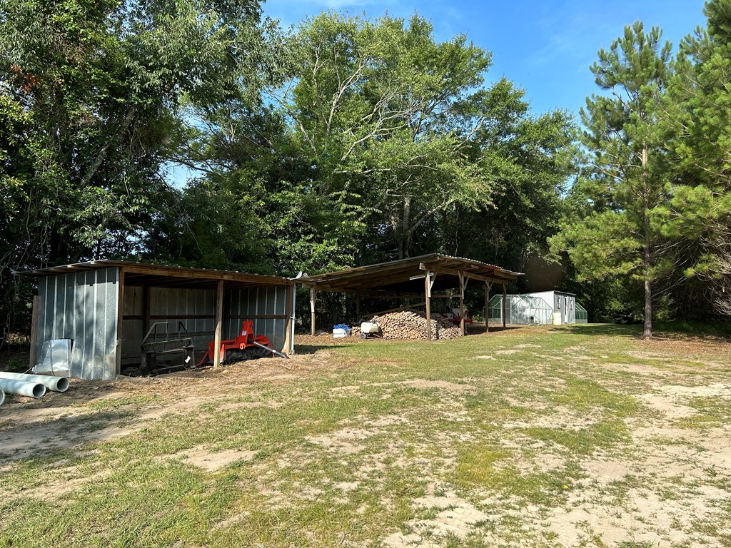 3876 D D Hodge Road Cottonwood, AL 36320 - Photo 28 of 48