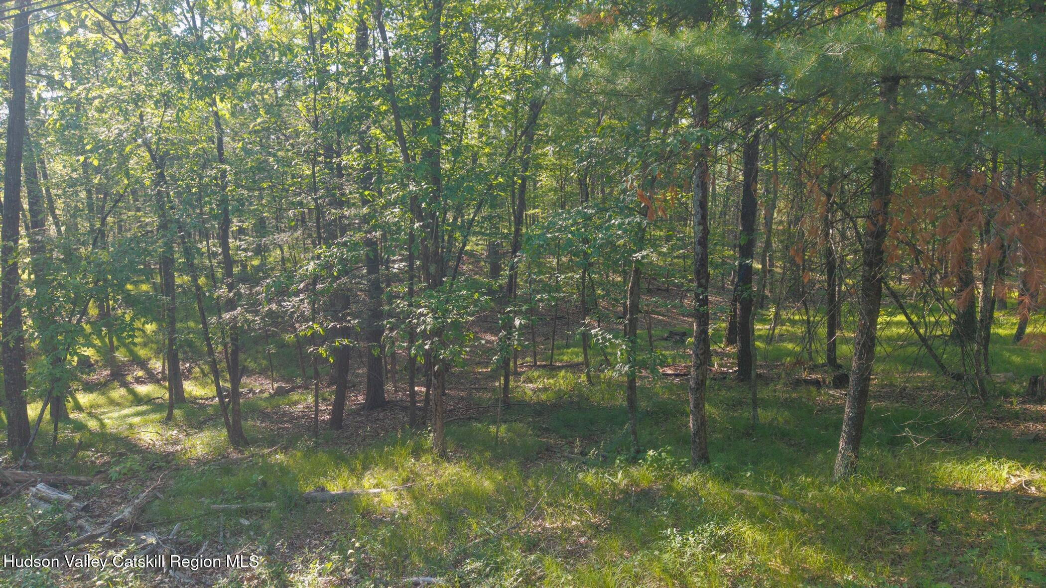 Tbd-1 Mt Airy Road Saugerties, NY 12477 - Photo 6 of 12 Land 3
