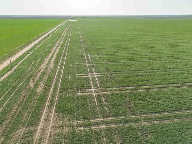 a view of a tennis court