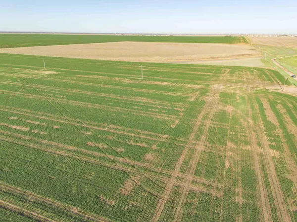 a view of a bathroom with a shower