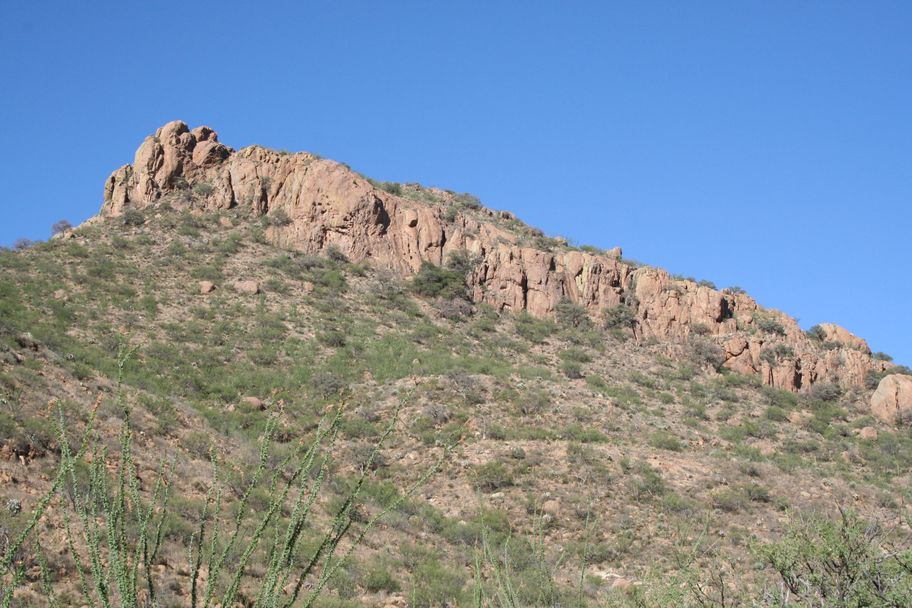 37 Copper Canyon Road, Unit 140 Rio Rico, AZ 85648 - Photo 4 of 17 IMG_9474