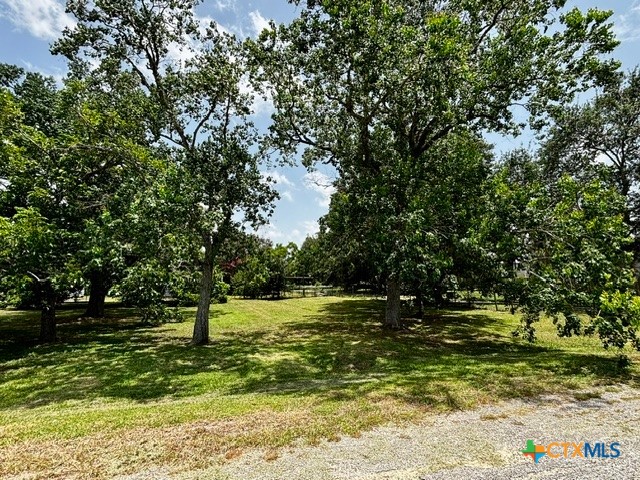 402 Young Street Edna, TX 77957 - Photo 20 of 20