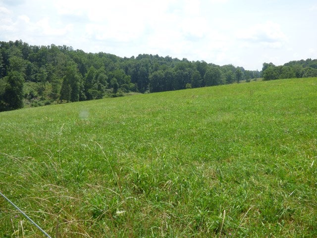 Tbd Hogback Road Wytheville, VA 24382 - Photo 1 of 1 Gallery Image 1