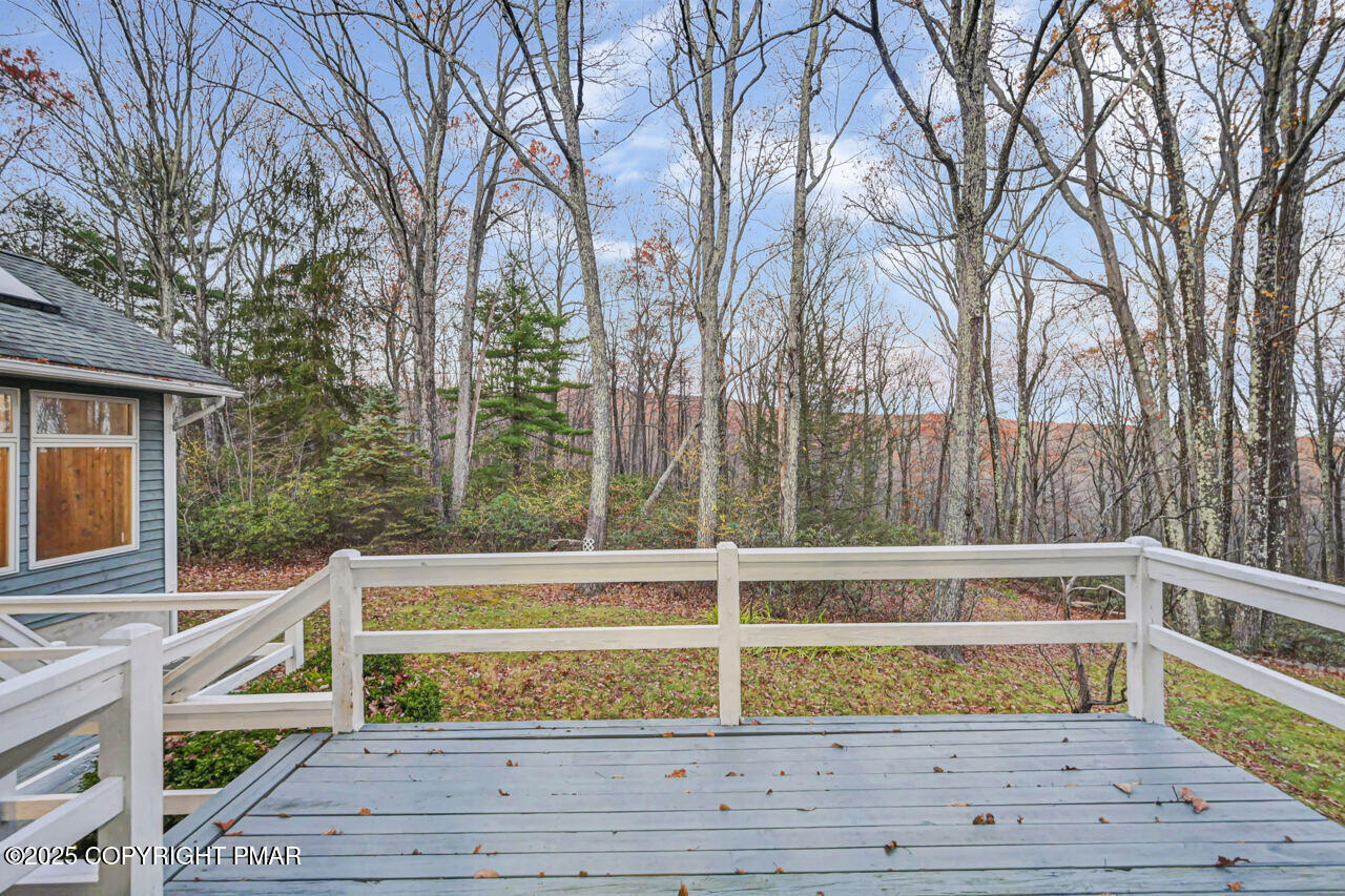 384 Devils Hole Road Cresco, PA 18326 - Photo 52 of 97 384DevilsHoleRd52