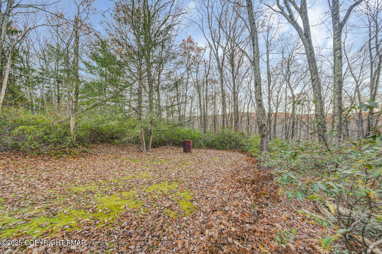 384 Devils Hole Road Cresco, PA 18326 - Photo 86 of 97 a backyard of a house with lots of green space