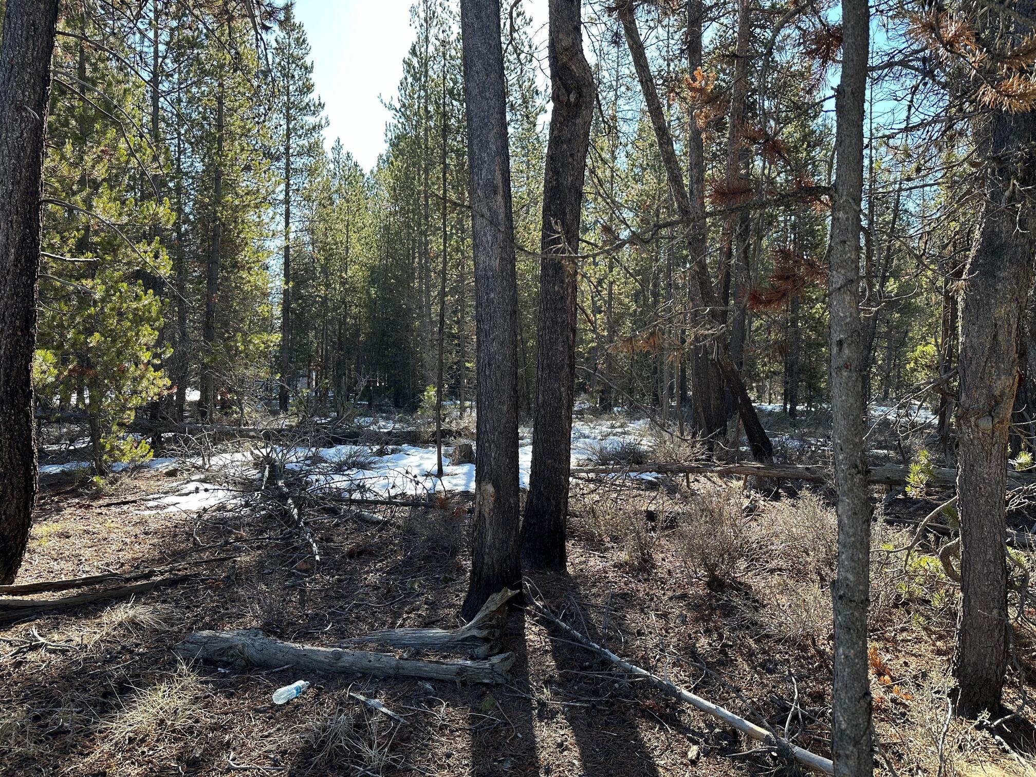 16855 Indigo Road Bend, OR 97707 - Photo 2 of 5 IMG_7657