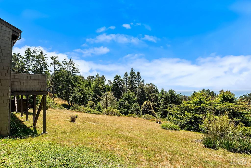 35926 Seaward The Sea Ranch The Sea Ranch, CA 95497 - Photo 54 of 69
