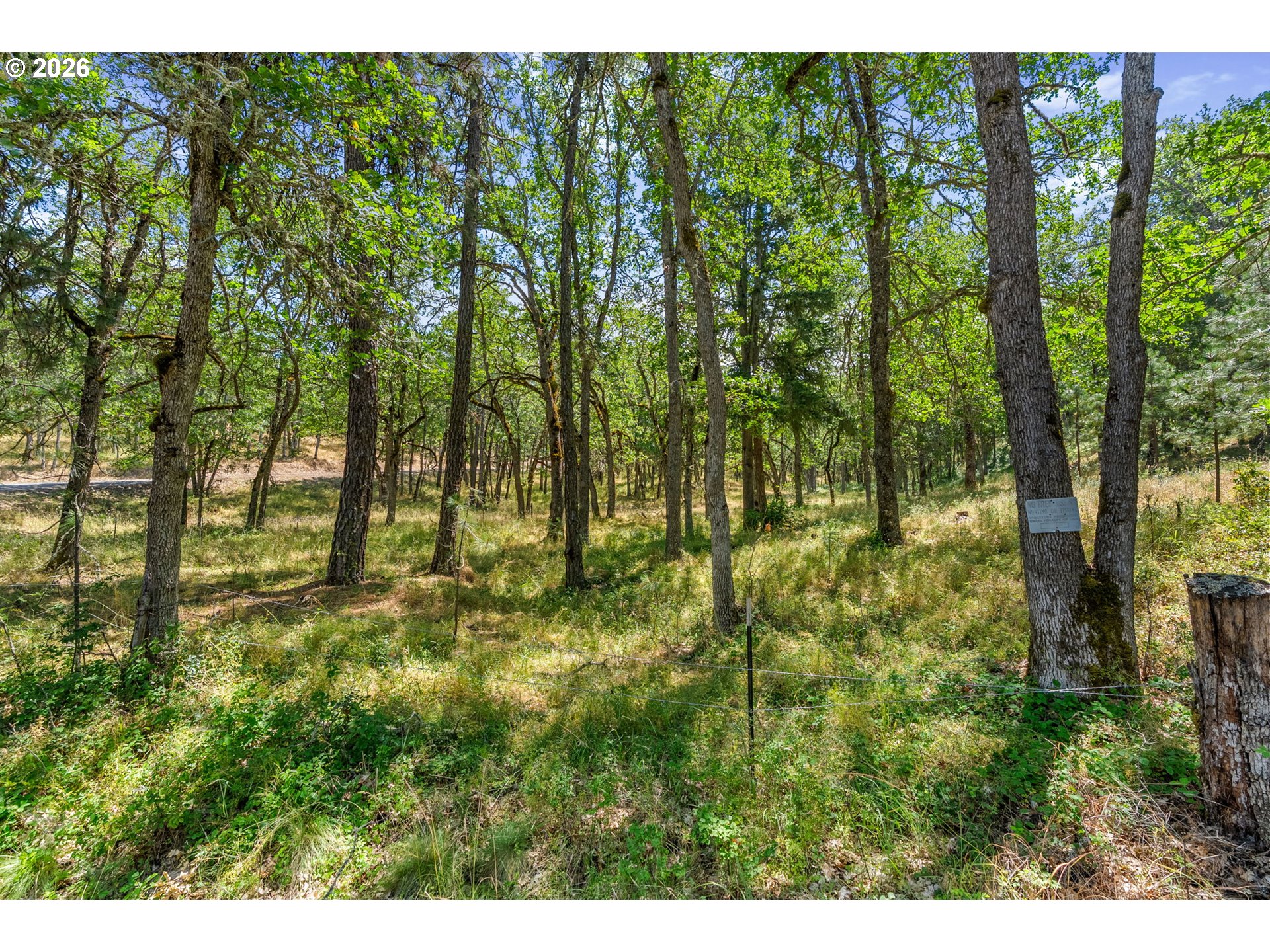 Rowland Road Lyle, WA 98635 - Photo 10 of 19