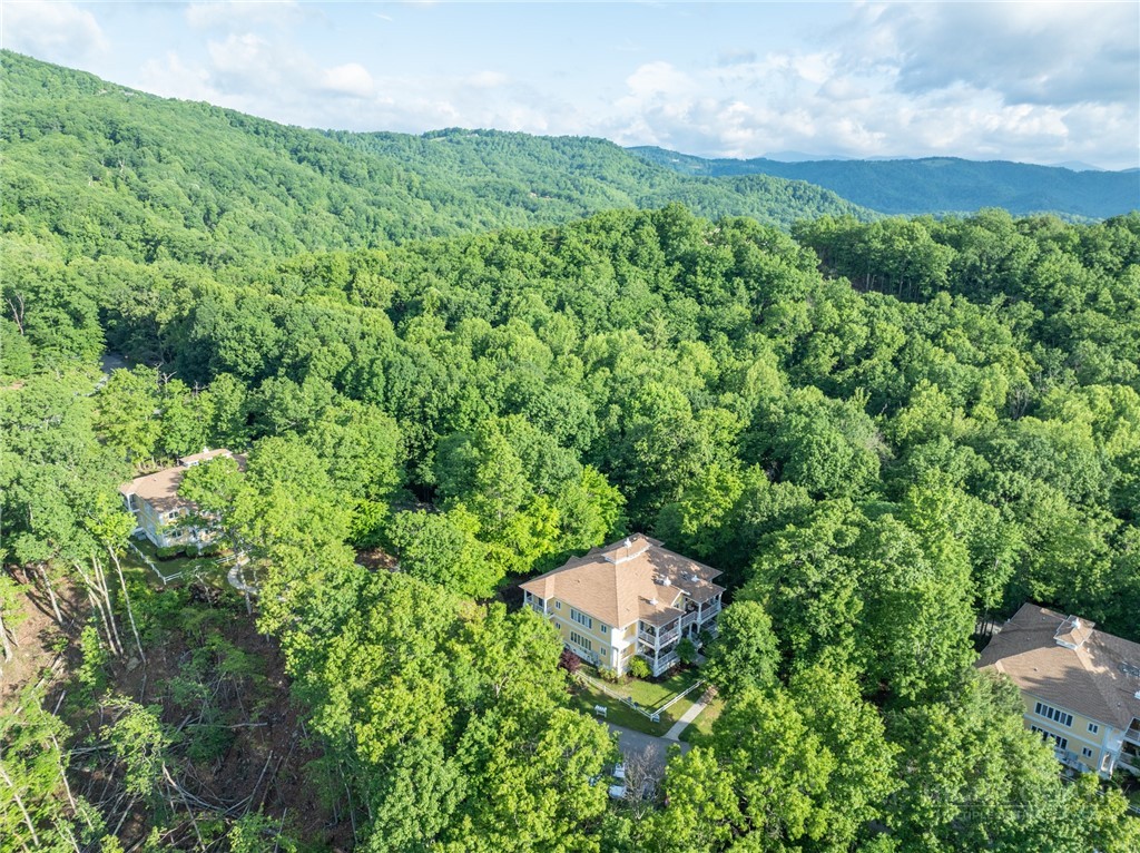 147 Moonlight Ridge Road, Unit 102 Boone, NC 28607 - Photo 6 of 33