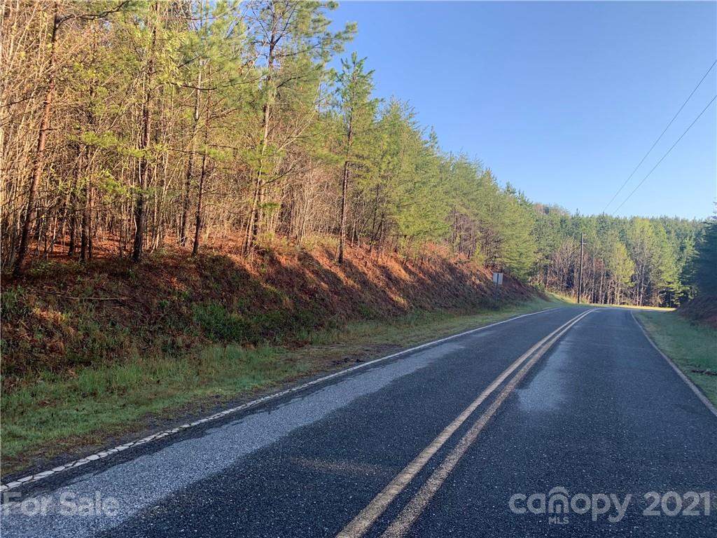 999 Green River Cove Road, Unit 14 Mill Spring, NC 28756 - Photo 1 of 3 a view of a road with a yard