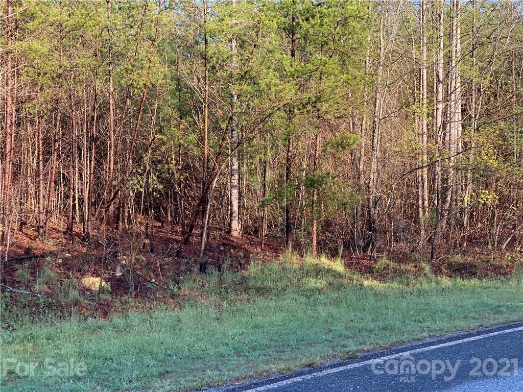 999 Green River Cove Road, Unit 14 Mill Spring, NC 28756 - Photo 2 of 3 a view of outdoor space and yard
