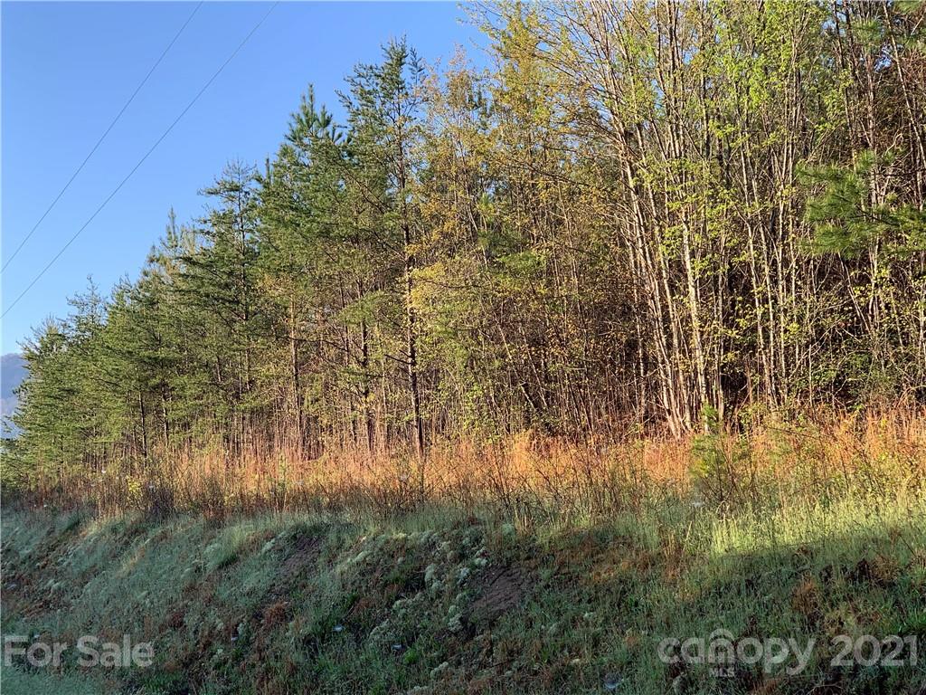 999 Green River Cove Road, Unit 14 Mill Spring, NC 28756 - Photo 3 of 3 a view of forest