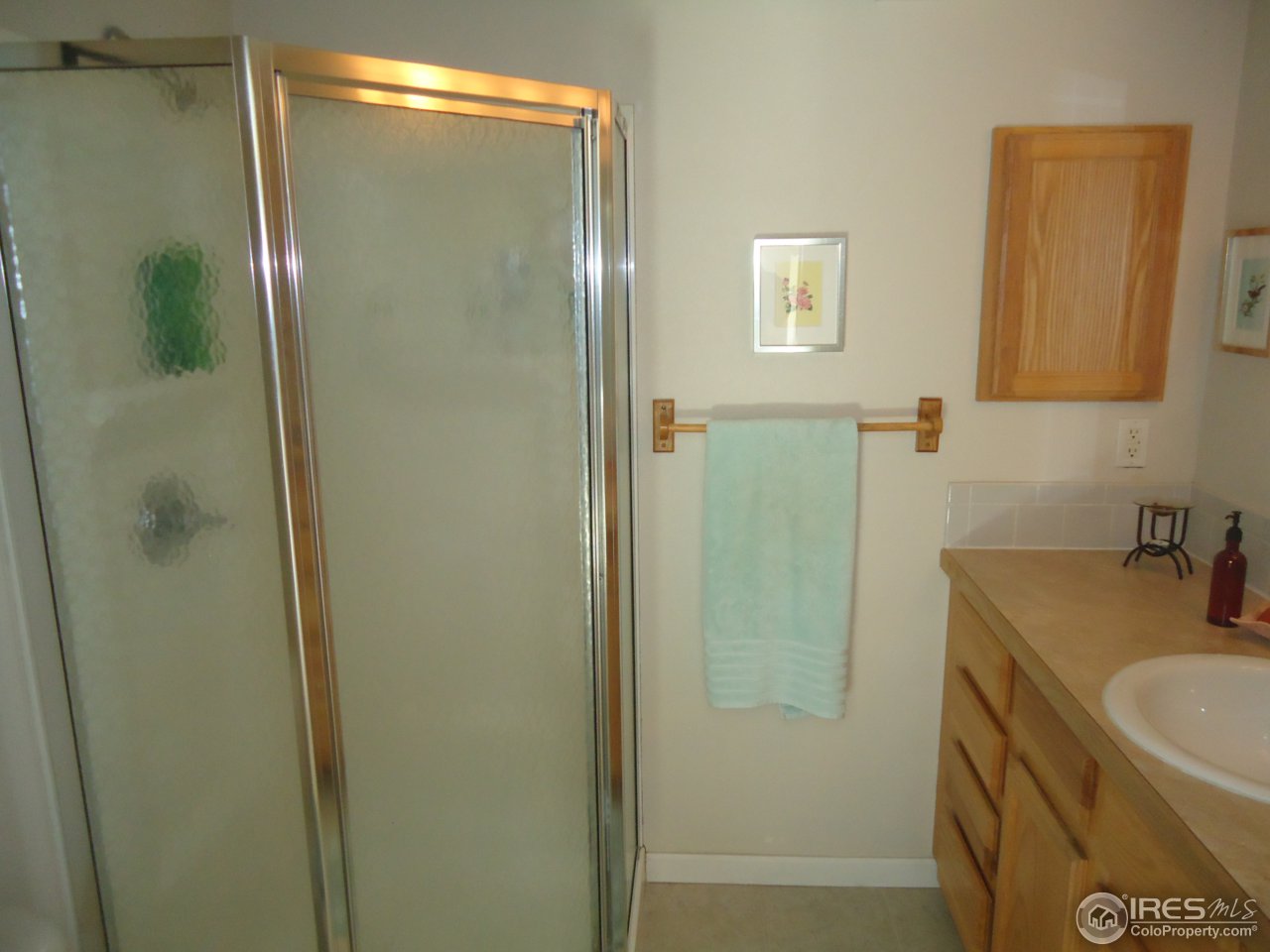 2531 Antelope Road Fort Collins, CO 80525 - Photo 13 of 31 Master Bath