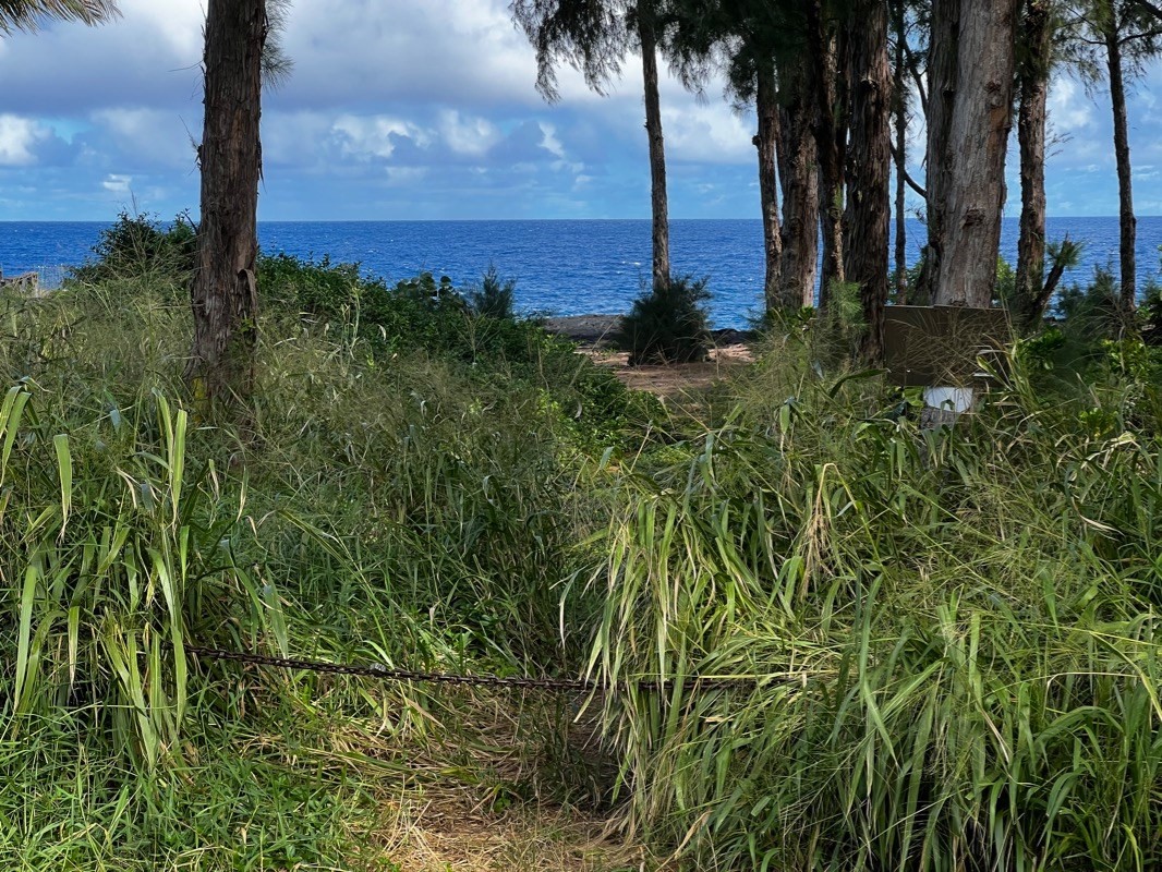 117 Ala Heiau Road Keaau, HI 96749 - Photo 10 of 13 Gallery Image 10