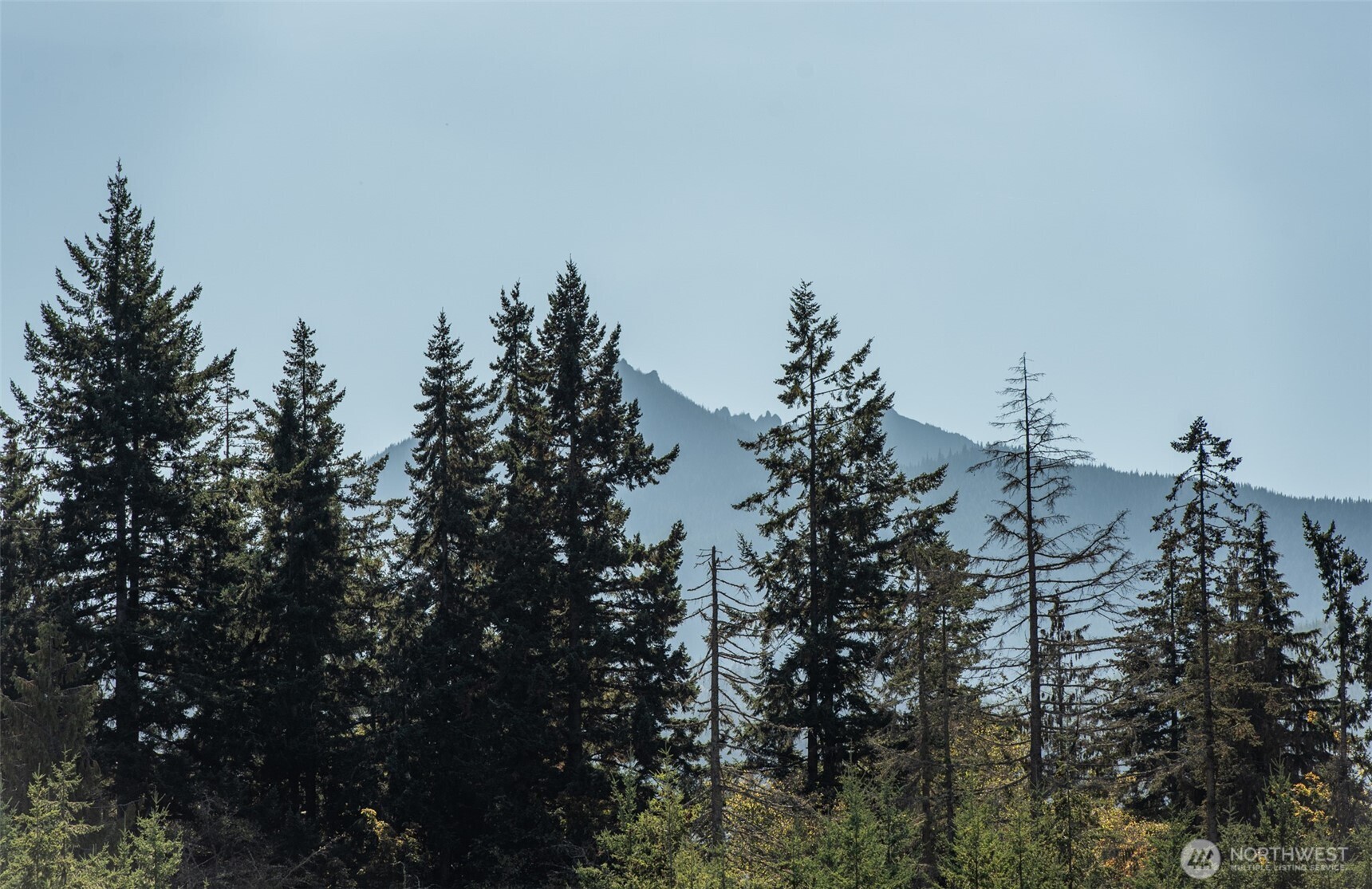 3601 Page Street Port Angeles, WA 98362 - Photo 35 of 35 a view of a city with tree in the background