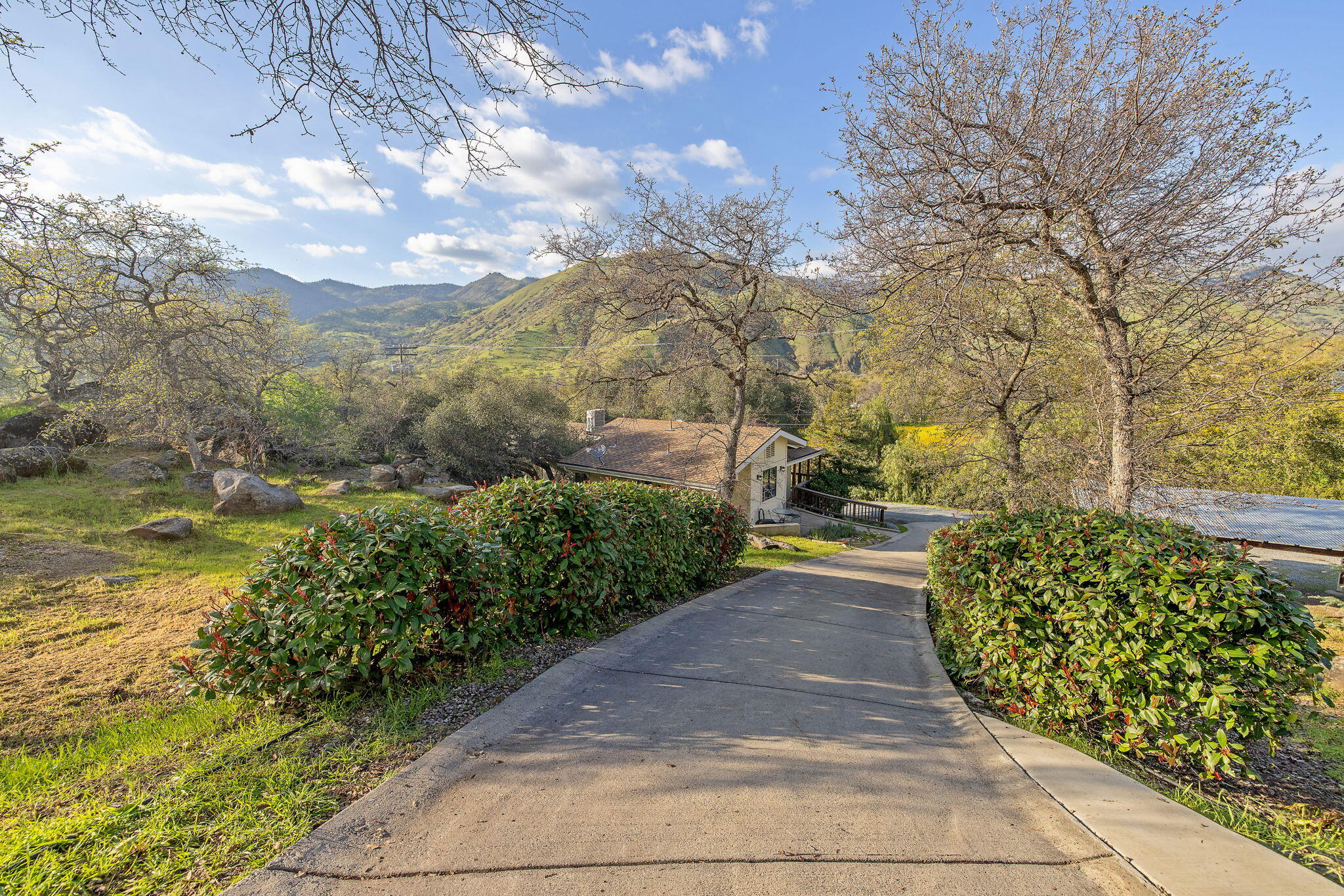40209 Redtail Lane Three Rivers, CA 93271 - Photo 90 of 167 84-web-or-mls-713A5948