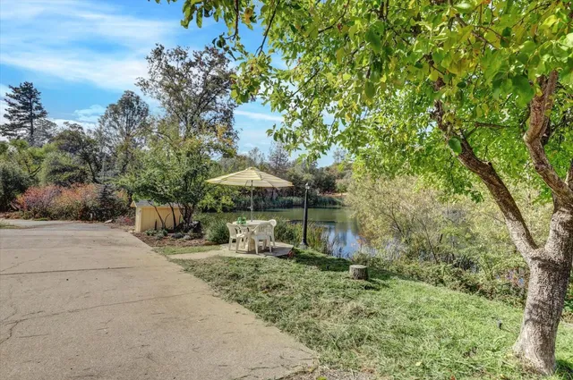 a view of a yard with trees