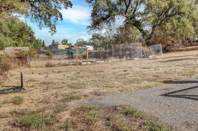 a view of a backyard with plants and trees