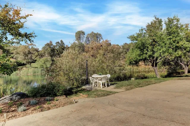 a view of a backyard