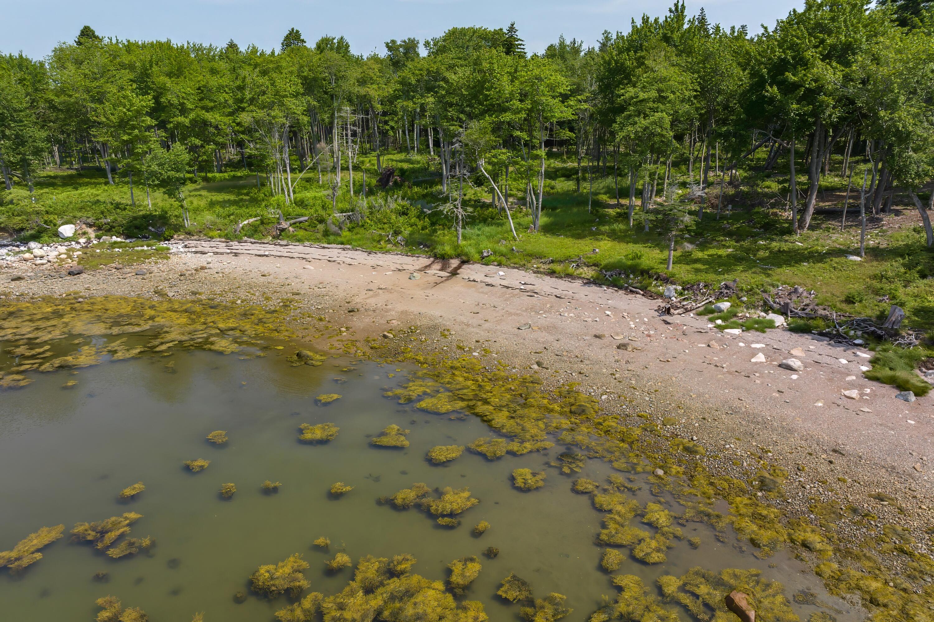 240 Estates Road, Unit LOT #20 Steuben, ME 04680 - Photo 8 of 17 Lot 20 (5)