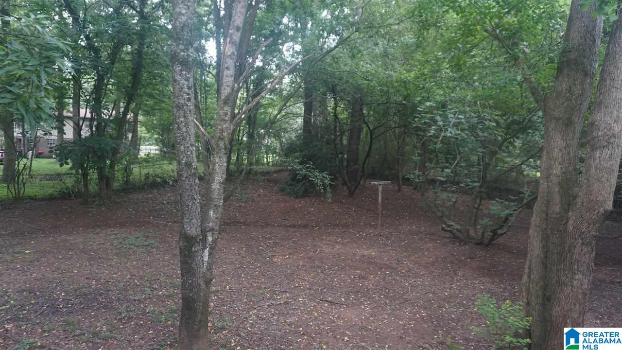 314 Joye Lane Alabaster, AL 35007 - Photo 20 of 22