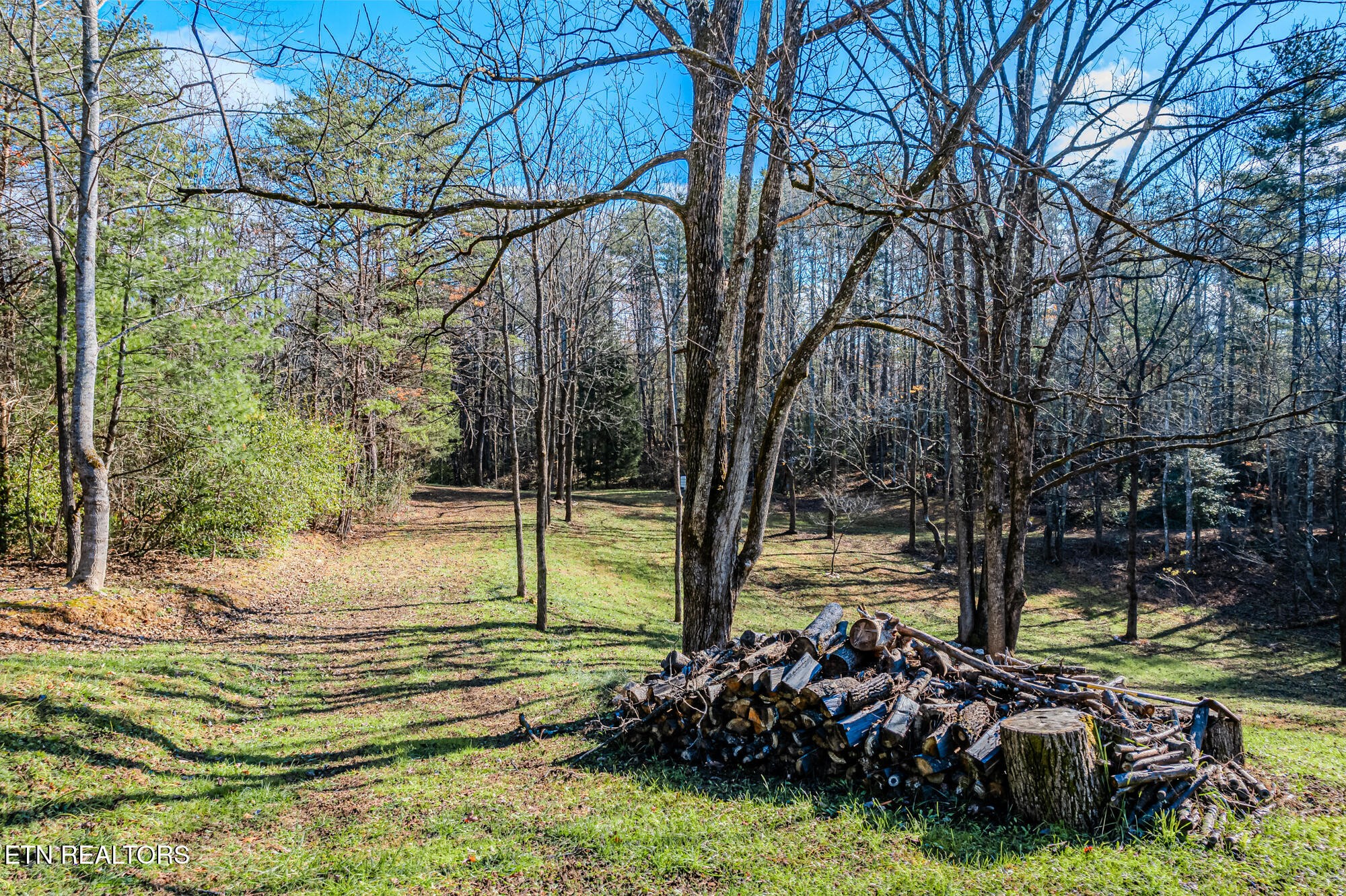 0 Pond Ridge Road Tellico Plains, TN 37385 - Photo 17 of 32
