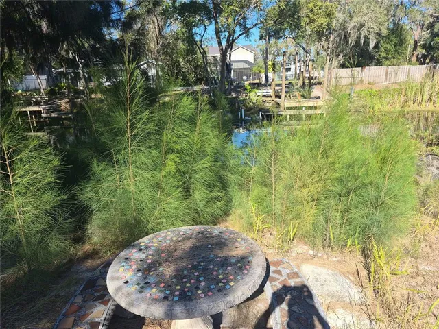 a view of outdoor space and garden