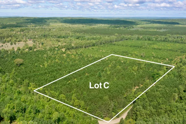 $125,000 | Wallin Road, Thompsonville, MI 49683