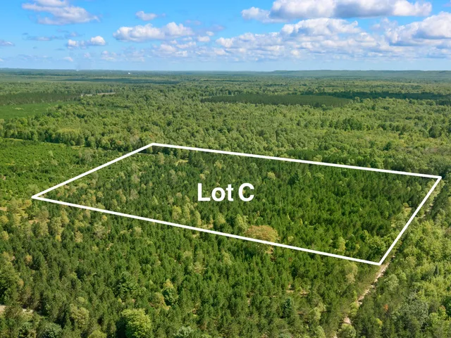 $125,000 | Wallin Road, Thompsonville, MI 49683