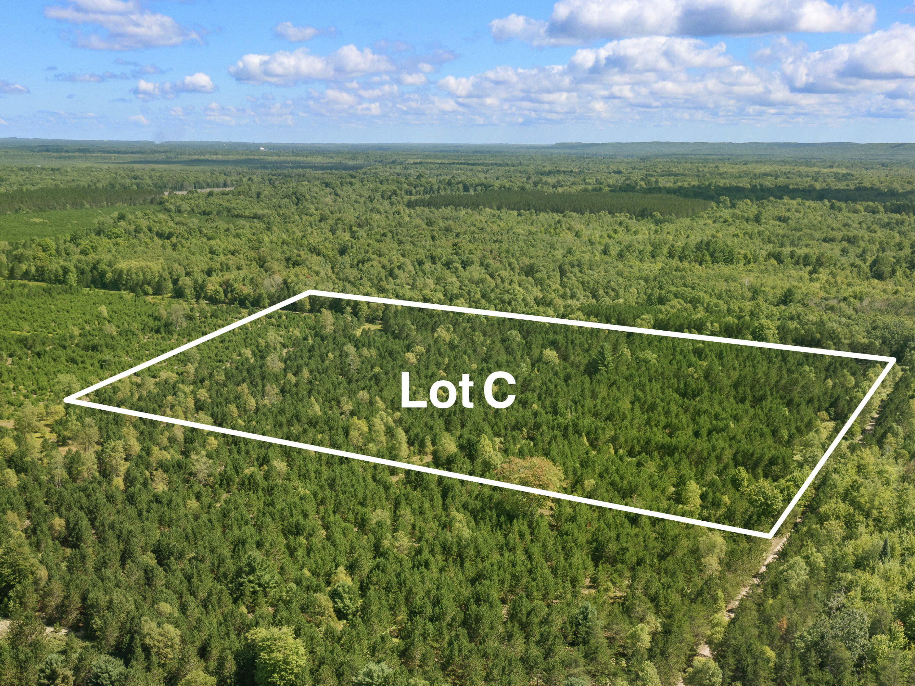 Wallin Road Thompsonville, MI 49683 - Photo 2 of 26 DJI_0599