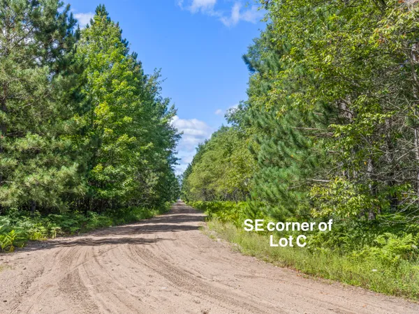 $125,000 | Wallin Road, Thompsonville, MI 49683