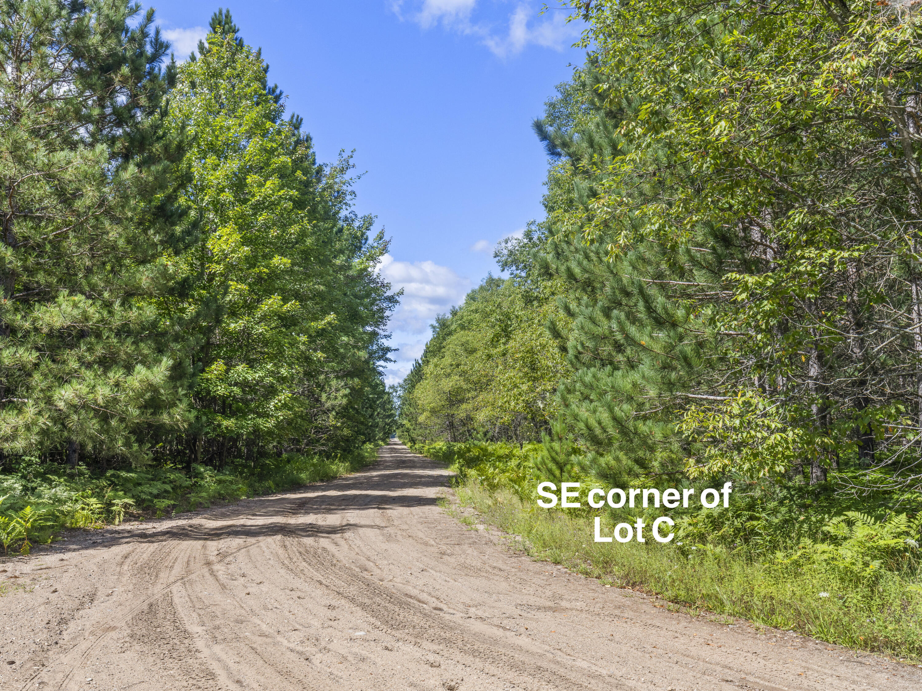 Wallin Road Thompsonville, MI 49683 - Photo 5 of 26 0S5A6175