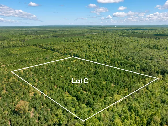 $125,000 | Wallin Road, Thompsonville, MI 49683