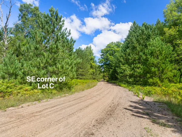 $125,000 | Wallin Road, Thompsonville, MI 49683