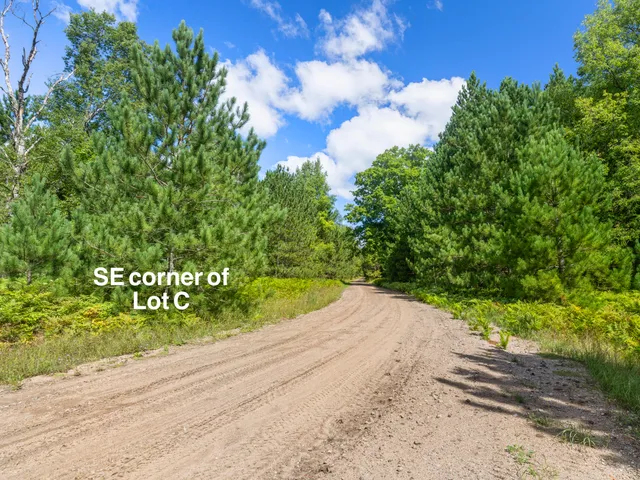 $125,000 | Wallin Road, Thompsonville, MI 49683