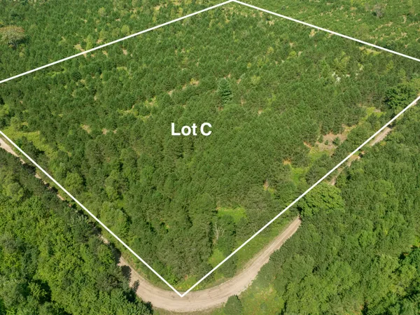 $125,000 | Wallin Road, Thompsonville, MI 49683