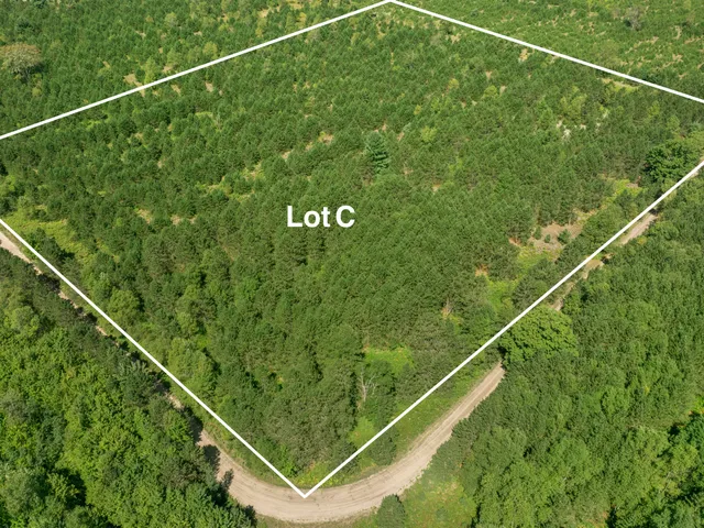 $125,000 | Wallin Road, Thompsonville, MI 49683