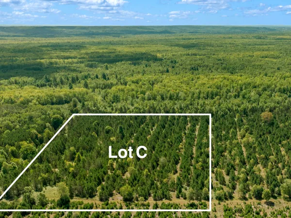 $125,000 | Wallin Road, Thompsonville, MI 49683
