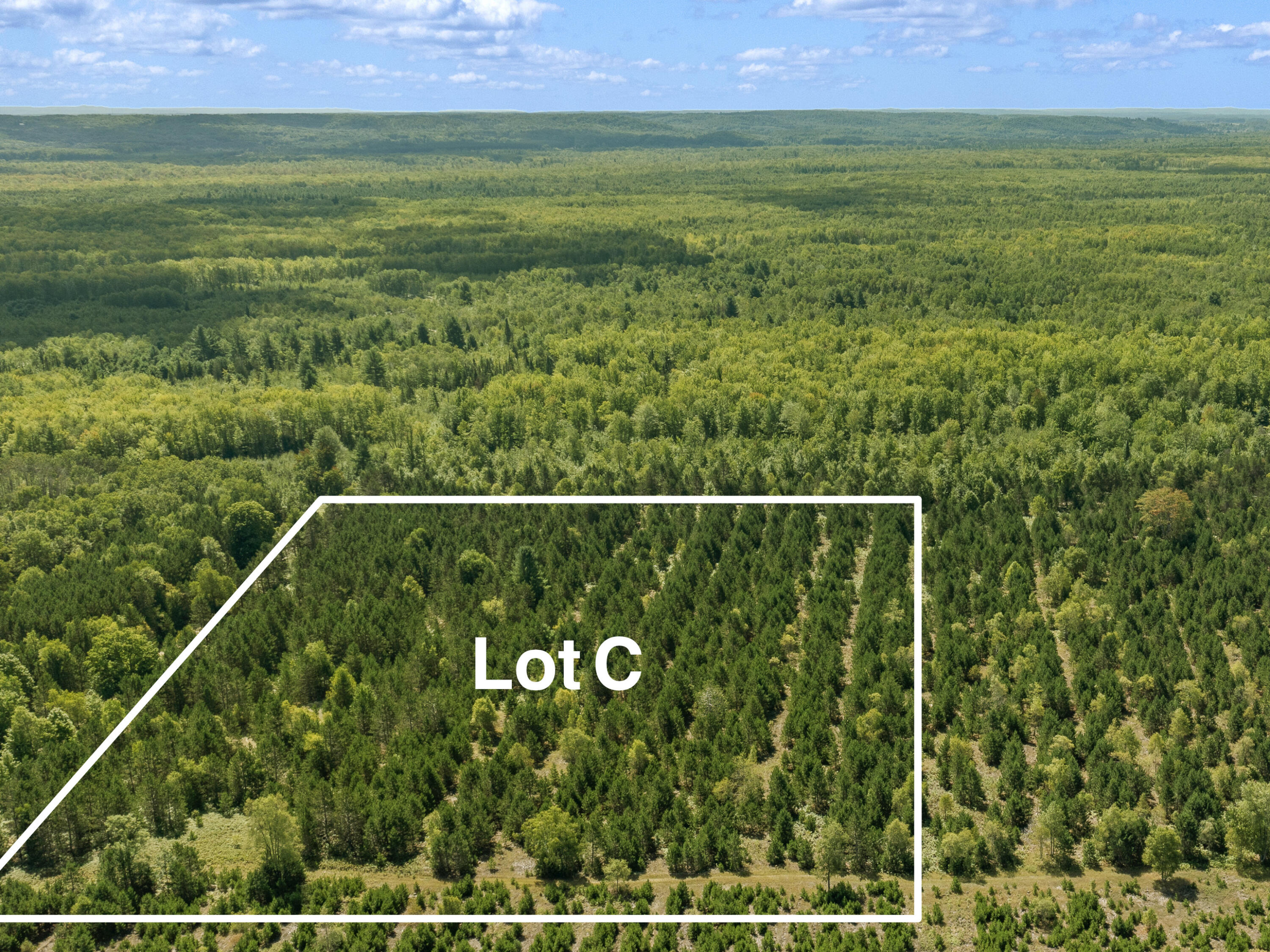 Wallin Road Thompsonville, MI 49683 - Photo 9 of 26 DJI_0626