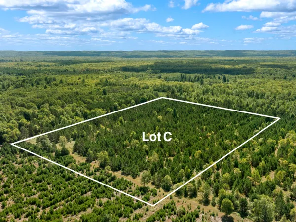 $125,000 | Wallin Road, Thompsonville, MI 49683