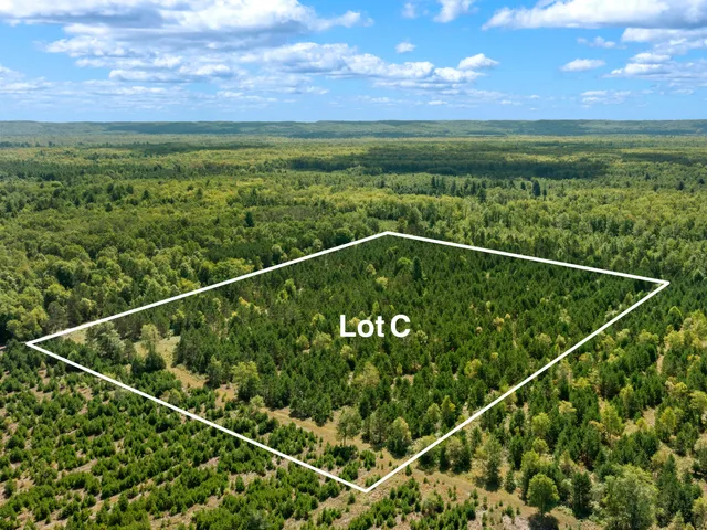 $125,000 | Wallin Road, Thompsonville, MI 49683