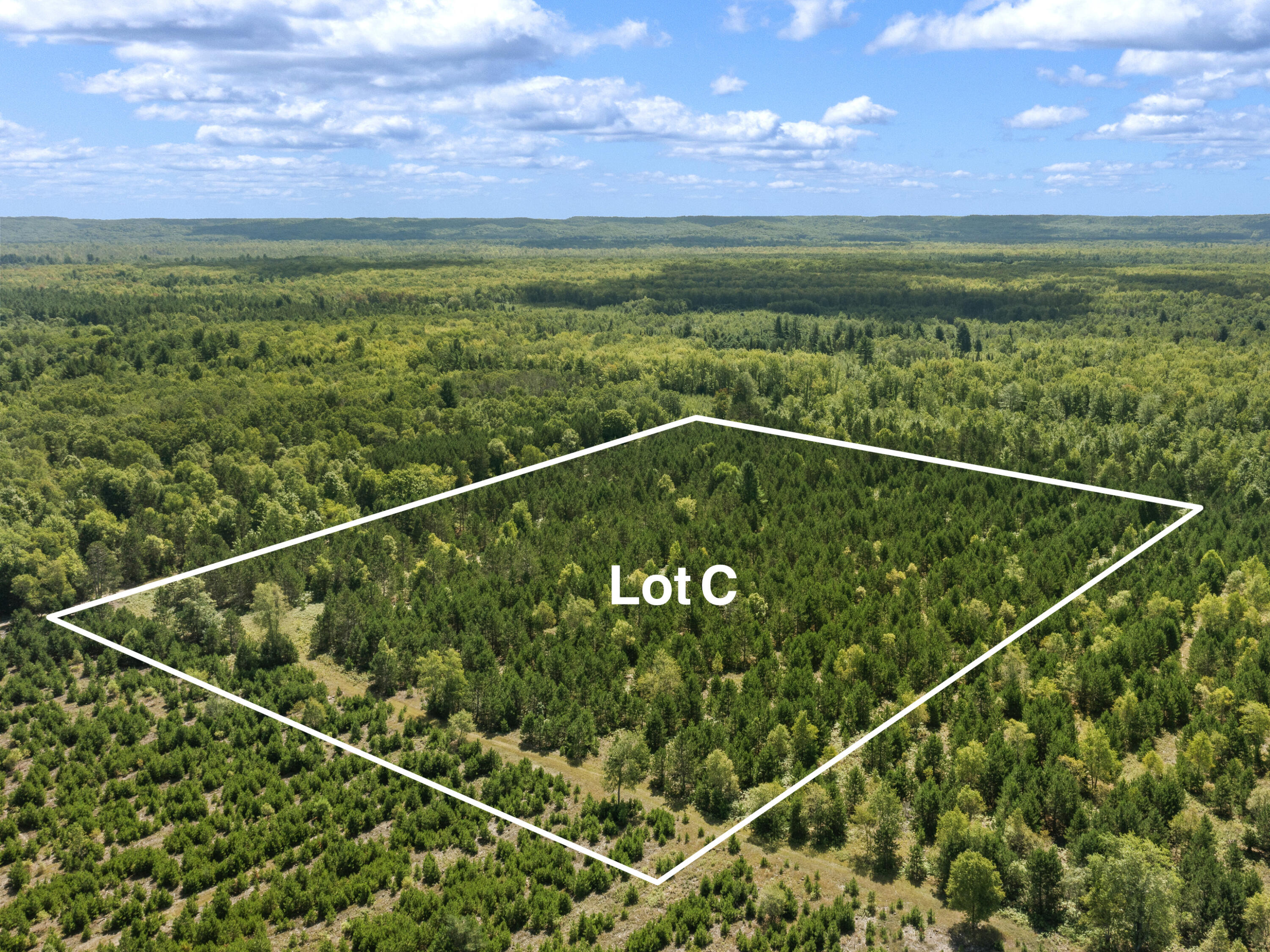 Wallin Road Thompsonville, MI 49683 - Photo 10 of 26 DJI_0631