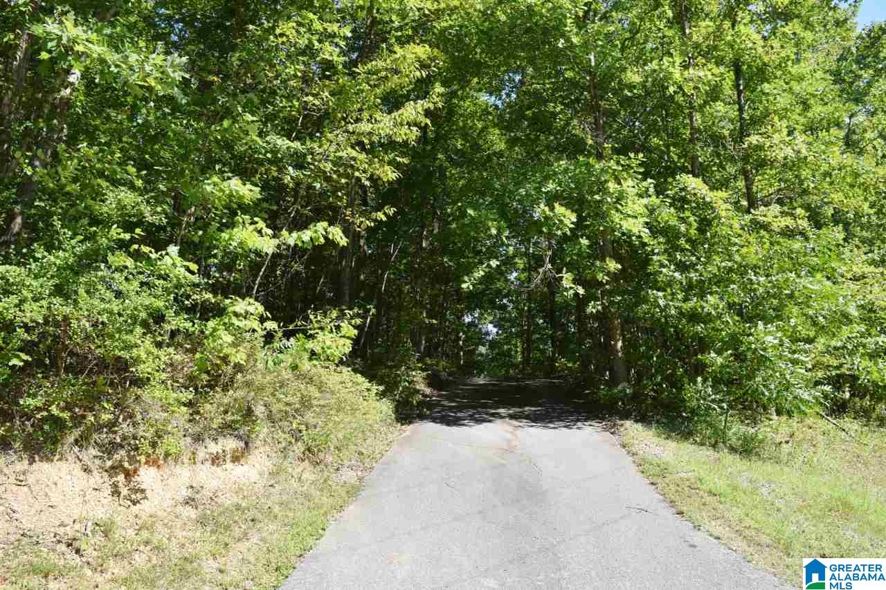 771 Hickory Valley Road Trussville, AL 35173 - Photo 18 of 38