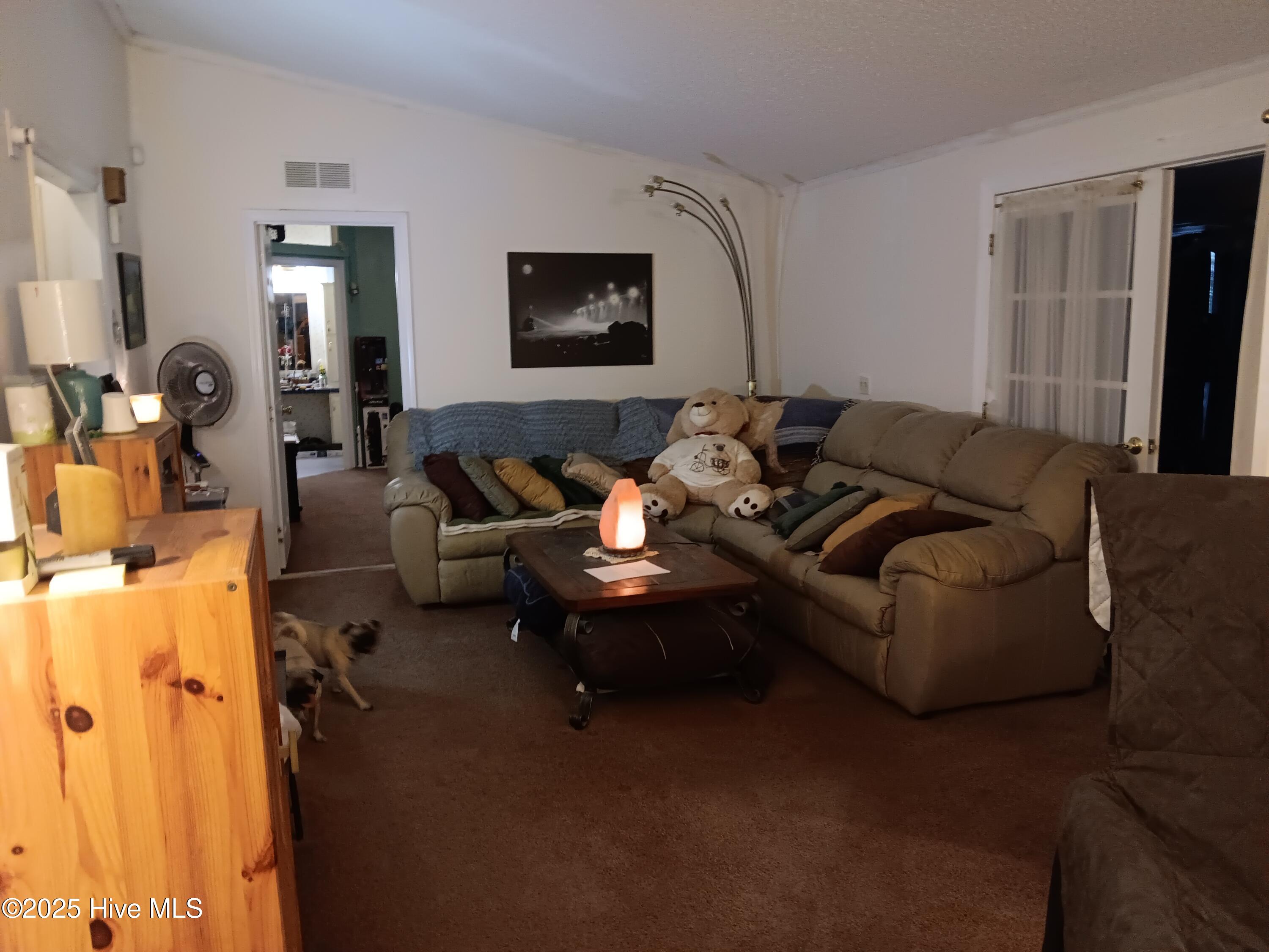 825 Putnam Church Road Carthage, NC 28327 - Photo 3 of 13 Living Room