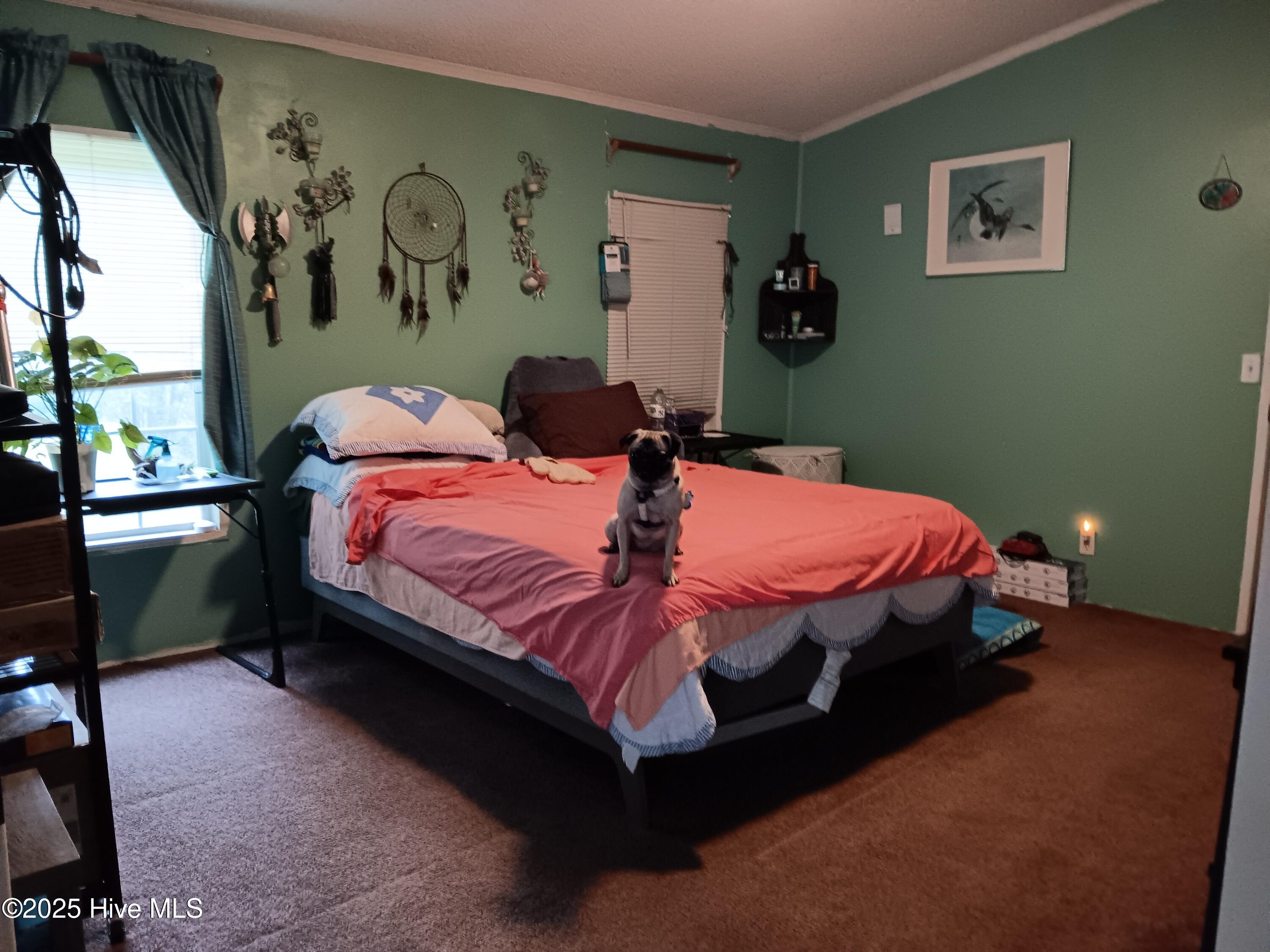 825 Putnam Church Road Carthage, NC 28327 - Photo 9 of 13 Primary Bedroom