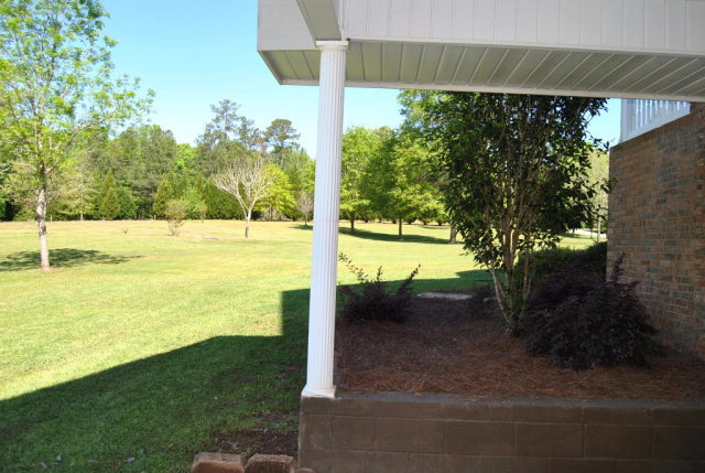 377 Wheeler Road Gray, GA 31032 - Photo 33 of 45 a view of a yard