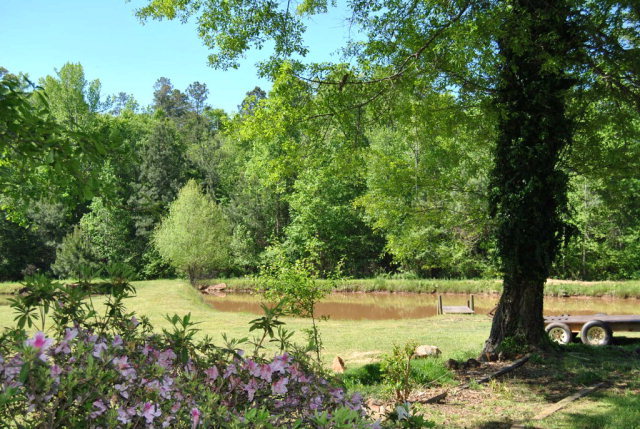 377 Wheeler Road Gray, GA 31032 - Photo 40 of 45 a view of lake with a tree