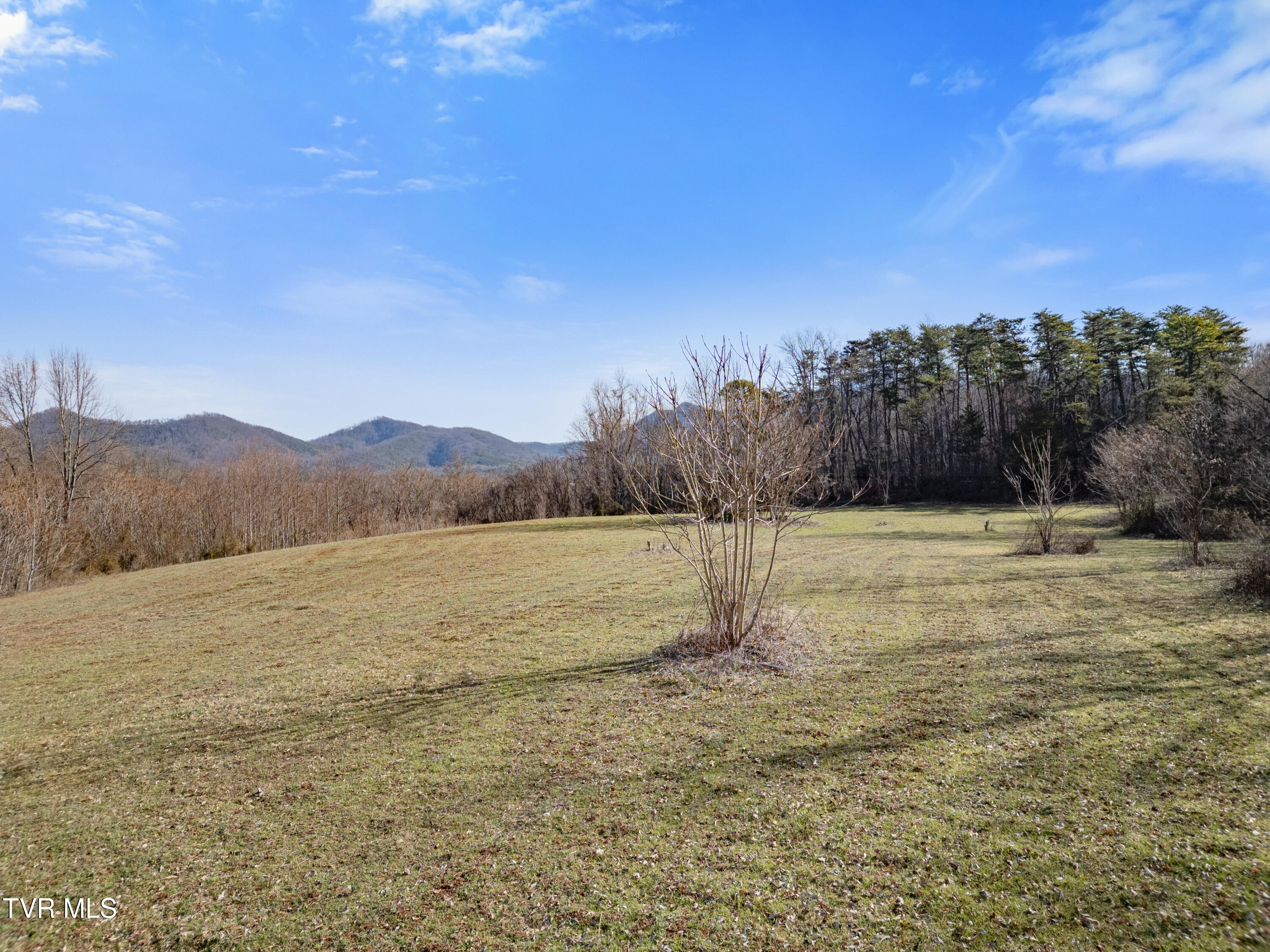 Tbd Timbers Lane, Unit 16 Greeneville, TN 37743 - Photo 2 of 14 DJI_0214