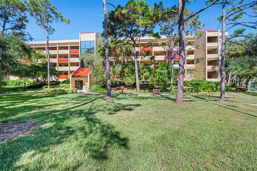 3078 Eastland Boulevard, Unit 111 Clearwater, FL 33761 - Photo 1 of 41 a view of a park with plants and large trees